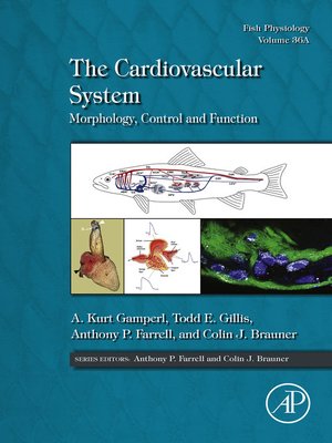 cover image of The Cardiovascular System